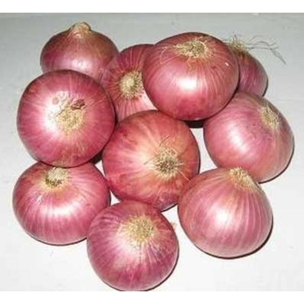 Picture of Onion Seeds 50 Pcs   Imroved Quality Seeds Package Contents:Seed Pack Organic quality, hybrid quality Organic Seeds