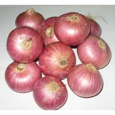 Picture of Onion Seeds 50 Pcs   Imroved Quality Seeds Package Contents:Seed Pack Organic quality, hybrid quality Organic Seeds