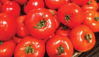 Picture of Hybrid Tomato Seed 40pcs SeedS