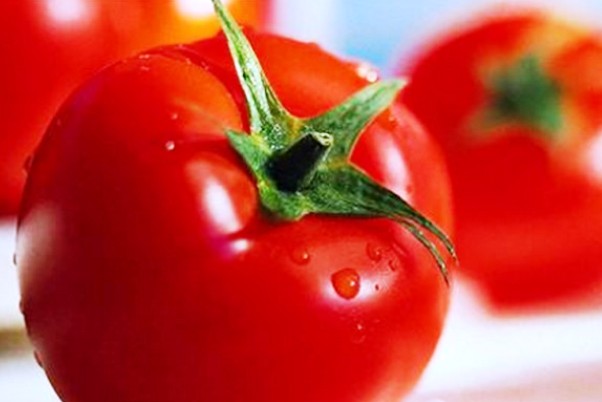 Picture of Hybrid Tomato Seed 40pcs SeedS