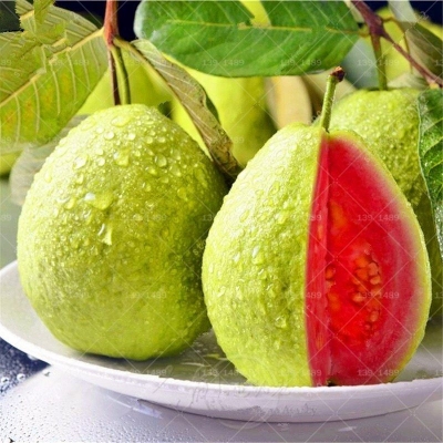 Picture of Thai 10 Guava Seed- 25Pcs Seeds