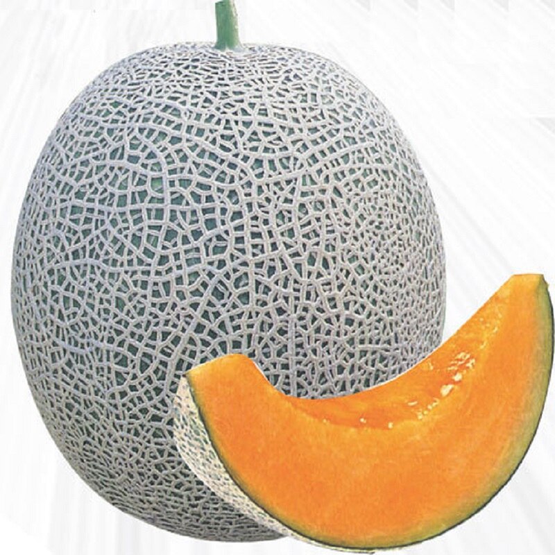 Picture of Bali Shi Textured Organic Vegetable Bonsais Sweet Bonsais- 15Pcs Seeds