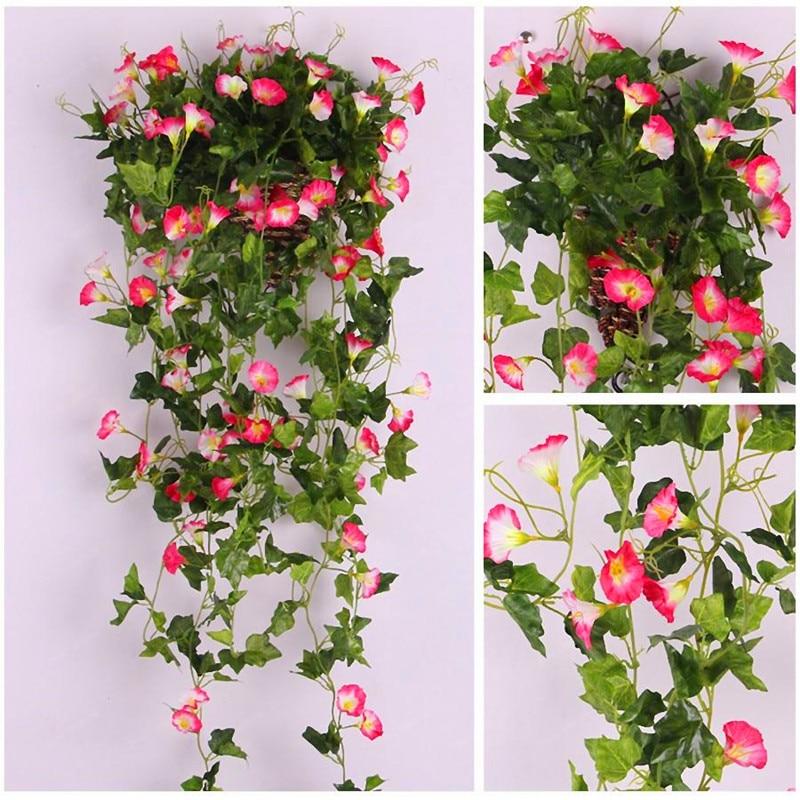 Picture of Beautiful Morning Glory of mixed color 15pcs seeds