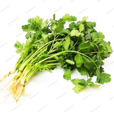 Picture of Summer Virgo Annual Terrace Potted Vegetable Thai Anti-Heat Parsley Bonsai Seasons Garden Coriander 50Pcs Seeds