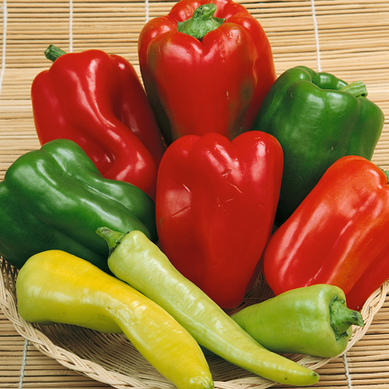 Picture of Mix Sweet Bell Bonsai Vegetable Seed-10 pcs SeedS