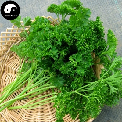 Picture of Europe Celery Semente 60pcs Plant Spices Vegetables Petroselinum Crispum-500Pcs seeds