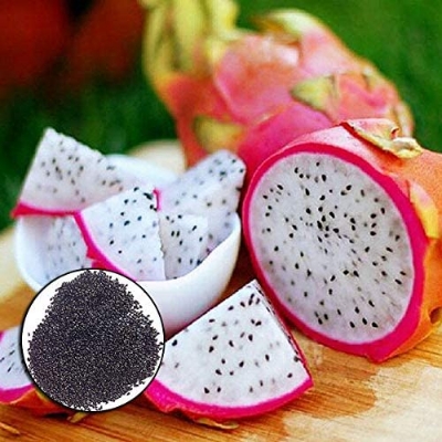 Picture of Bonsai Pitaya fruit tree plants Seed-15+Pcs seeds