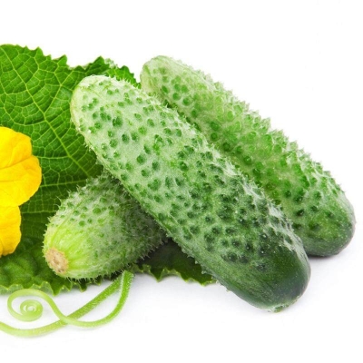 Picture of Terrace Vegetable Tangshan Autumn Melon Cucumber Bonsai Garden Planting Can Be Refreshing Fruit- 20Pcs Seeds