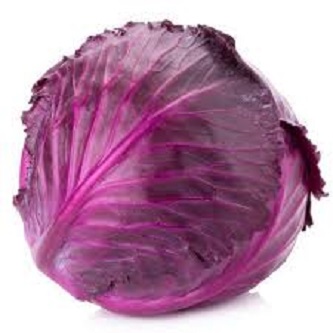 Picture of Red Hybrid Cabbage Seeds bonsai- 20 Pcs SeedS