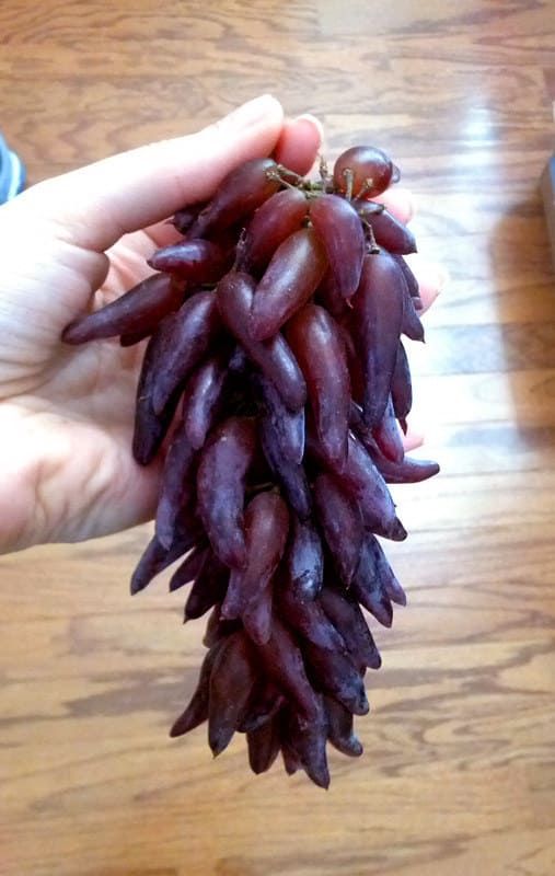 Picture of 20 / Pack Very Rare Finger Grape Advanced Fruit Natural Growth Grape Delicious Fruit Plants for Home Garden-20Pcs seedS