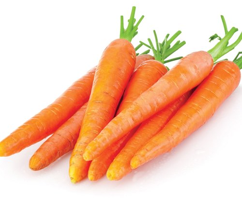 Picture of All Season Carrot Seeds  - 50+ Pcs Seeds