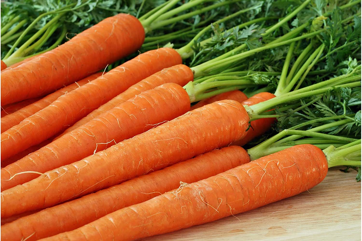 Picture of All Season Carrot Seeds  - 50+ Pcs Seeds