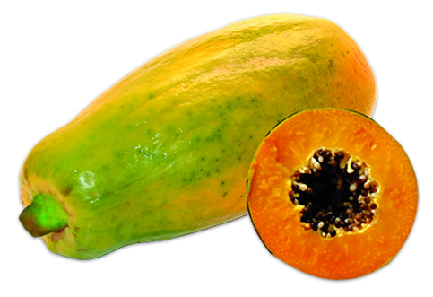 Picture of Hybrid Yellow Gold Papaya SeedS- 10+ Pcs Seeds