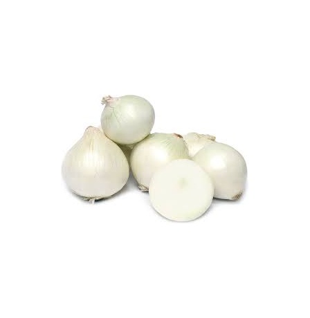 Picture of 80+ Pcs Imported Global White Onion Seeds -80+ Pcs Seeds
