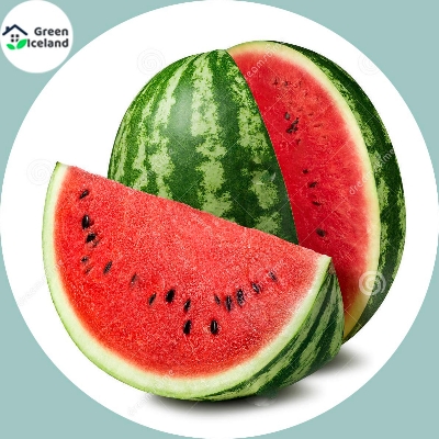Picture of 10 Pcs Global Sweet Watermelon SeedS