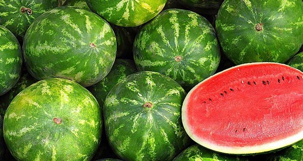 Picture of 10 Pcs Global Sweet Watermelon SeedS