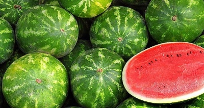 Picture of 10 Pcs Global Sweet Watermelon SeedS