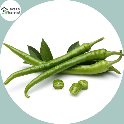 Picture of 20 Pcs Natural Green Chili SeedS