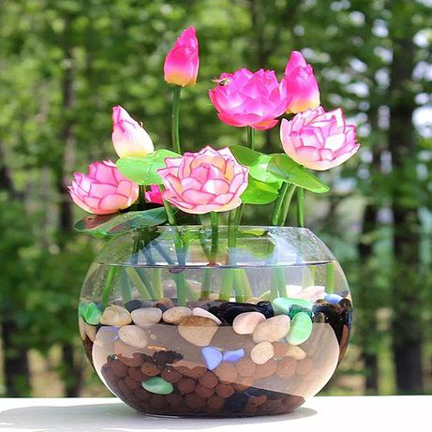 Picture of 5Pcs Hydroponics plant aquatic plant flower pot lotus water lily plant bonsai garden- 5pcs seedS/