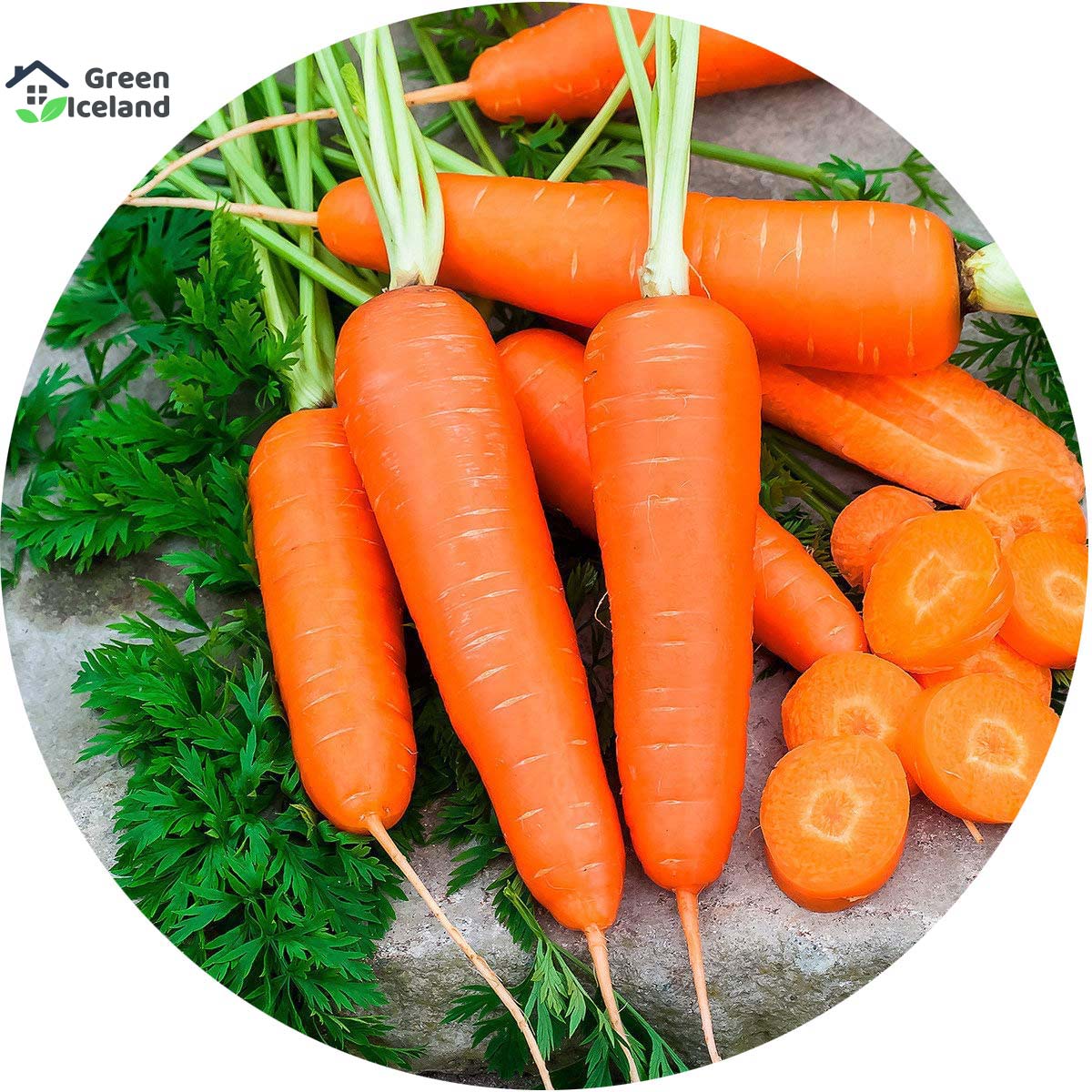 Picture of All Season Carrot Seeds  - 30 Pcs SeedS