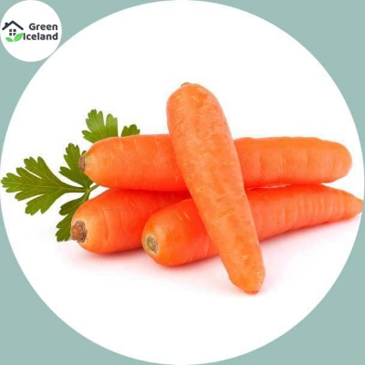 Picture of All Season Carrot Seeds  - 30 Pcs SeedS