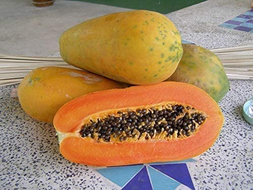 Picture of All Season Yellow Gold Papaya Seeds-15 Pcs Seeds