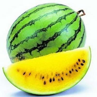 Picture of All Season Yellow watermelon Bonsai Seeds - 10 Pcs SeedS