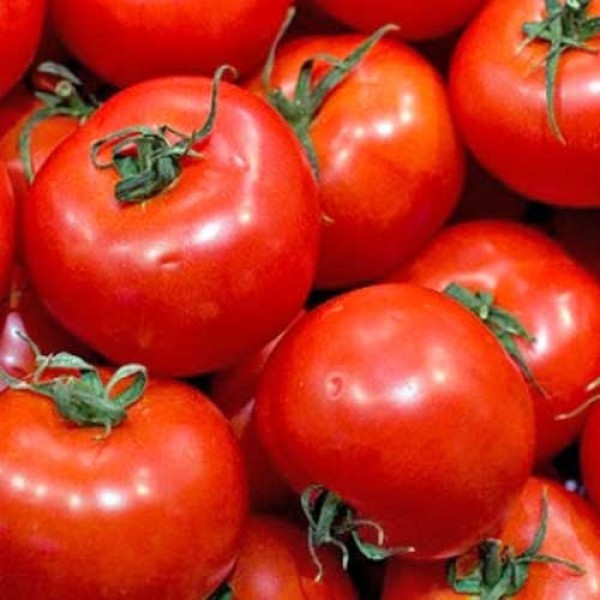 Picture of 20+  Pcs Global Delicious Climbing Tomato Seeds