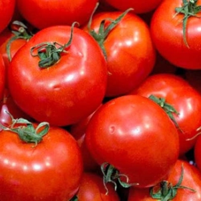 Picture of 20+  Pcs Global Delicious Climbing Tomato Seeds
