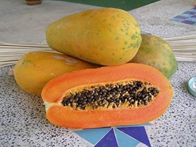 Picture of 10 Pcs Yellow Gold Papaya Seeds- 10 Pcs SeedS (Imported Global Seeds )