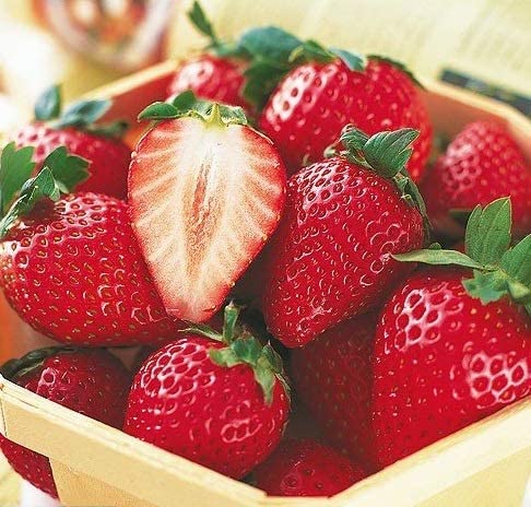 Picture of 30 Pcs Red Strawberry Seeds - 30 Pcs Seeds