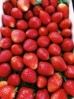 Picture of 30 Pcs Red Strawberry Seeds - 30 Pcs Seeds