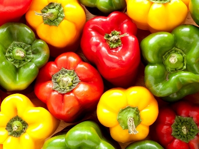 Picture of 10 Pcs All Season Multi Colour Capsicum SeedS