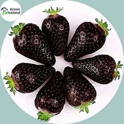 Picture of Gaint Black strawberry Seed - 20 Pcs SeedS