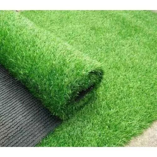 Picture of All Season Lawn Grass Seeds - 200+ Pcs SeedS