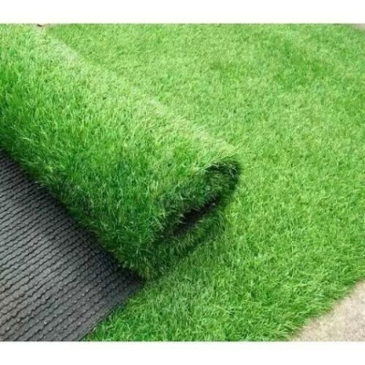 Picture of All Season Lawn Grass Seeds - 200+ Pcs SeedS
