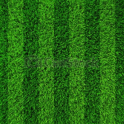 Picture of All Season Lawn Grass Seeds - 200+ Pcs SeedS