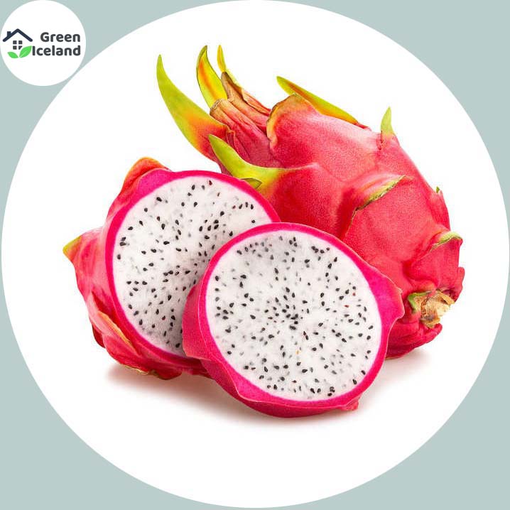 Picture of 20 Pcs All Season Dragon Pitaya Fruit Seeds - 20 Pcs SeedS