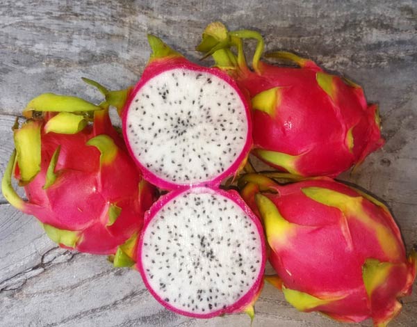 Picture of Bonsai Dragon Pitaya Fruit Seeds - 15 Pcs SeedS