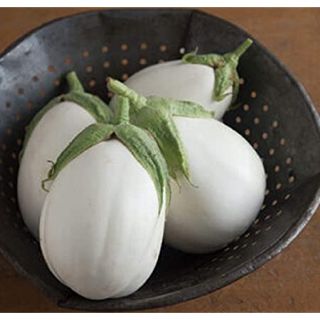 Picture of 20 Pcs Global White Eggplant SeedS
