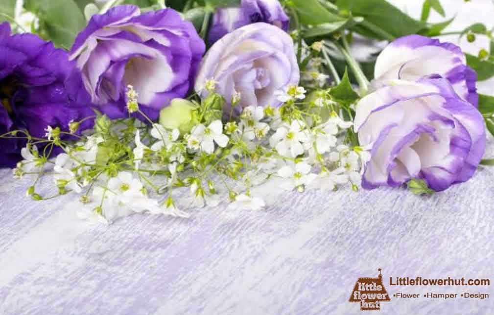 Picture of 10 Pcs Natural Eustoma Flower bonsai Seeds - 10 Pcs Seeds