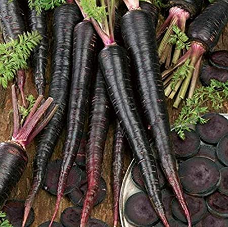 Picture of Imported Black Carrot SeedS  - 30 Pcs SeedS