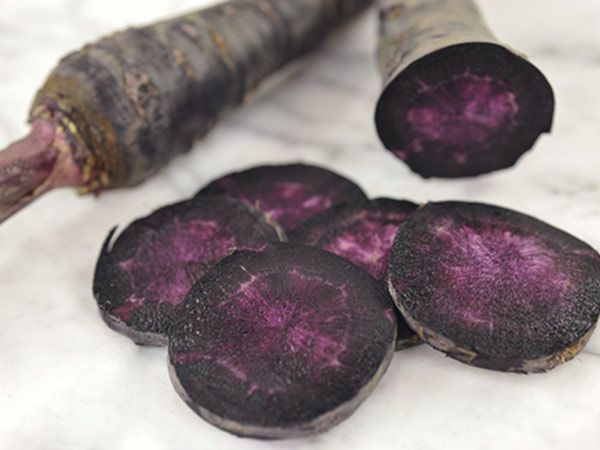 Picture of Imported Black Carrot SeedS  - 30 Pcs SeedS