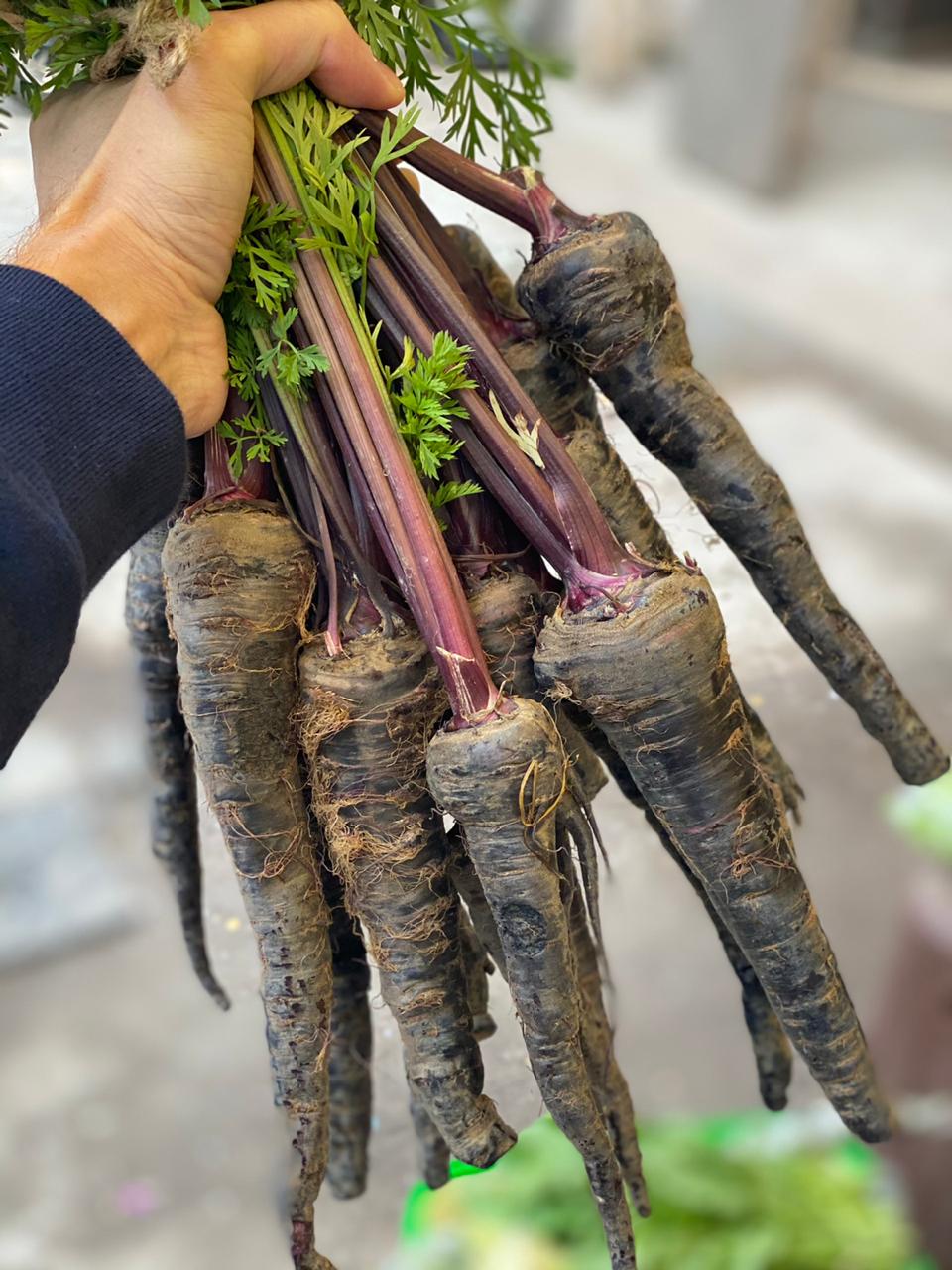 Picture of Black Carrot Seeds  - 50+ Pcs SeedS