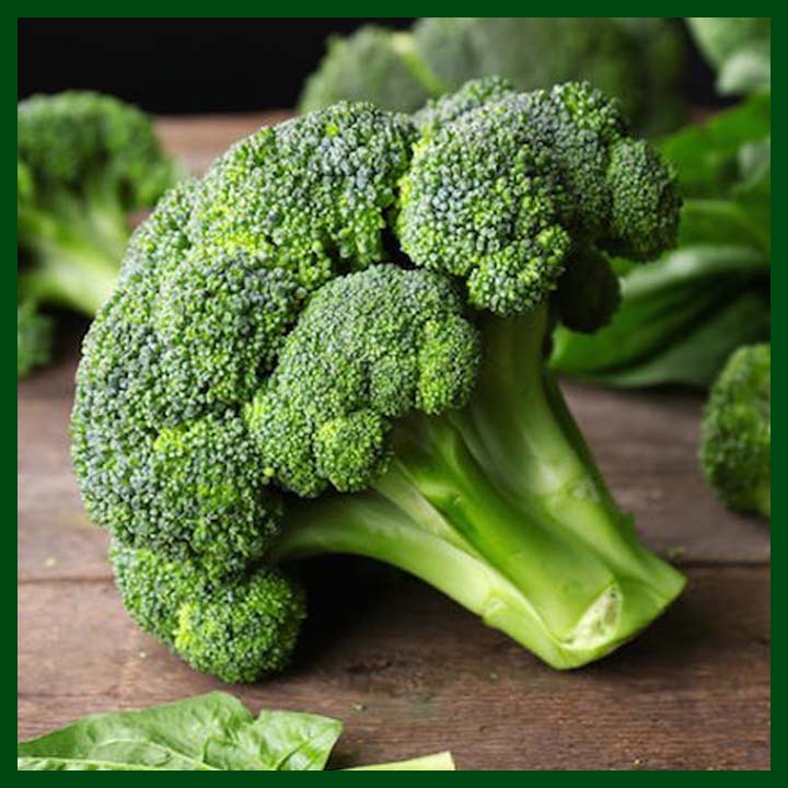 Picture of Organic Broccoli 20 Pcs SeedS