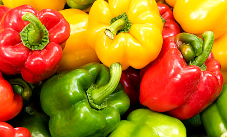 Picture of Mixed Colour Capsicum Seeds  - 20 Pcs SeedS