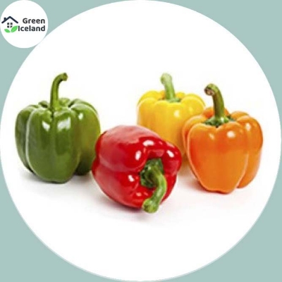 Picture of Mixed Colour Capsicum Seeds  - 20 Pcs SeedS