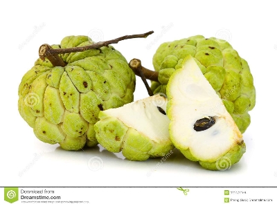 Picture of All Season Suger Free Sharifa Seeds  - 10 Pcs SeedS