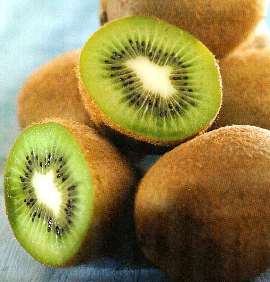 Picture of 20 Pcs Natural Mini Kiwi Fruit Bonsai SeedS