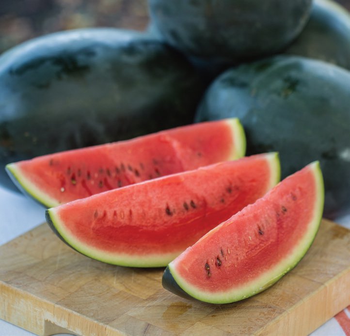 Picture of 10 Pcs Black Global Lazy King Watermelon Seeds